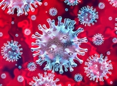 corona virus