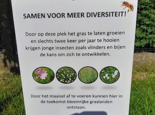 Bermbeheer, informatie over het belang waarom nuttig Bermbeheer, informatie over het belang waarom nuttig