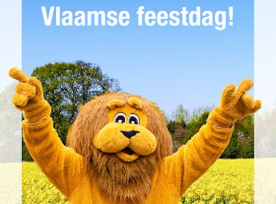 Fijne Vlaamse feestdag Fijne Vlaamse feestdag