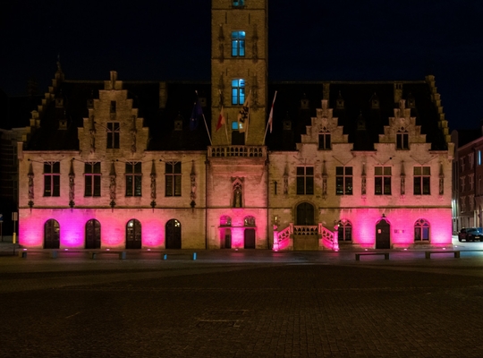 Dendermonde en Think Pink Dendermonde en Think Pink
